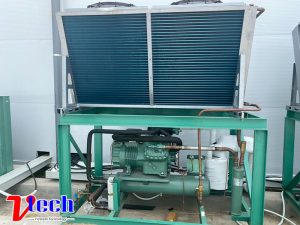 Thi Cong Kho Lanh Bao Quan Hang Hoa Logistics Tai Lao Cai 6